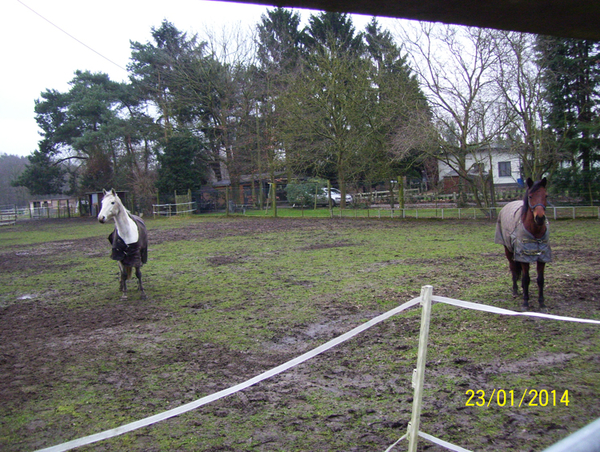 Wandelen naar Bonheiden - 23 januari 2014