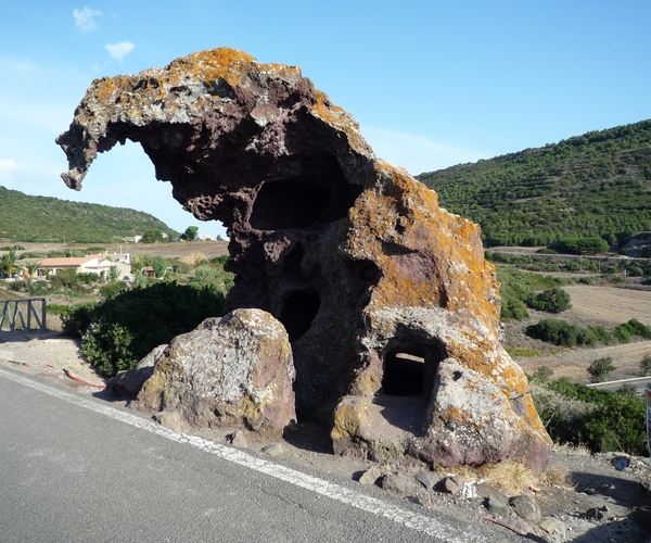 4a Castelsardo omg, Roccia Elefante _P1200564