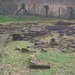 Restanten Basiliek op het kerkhof