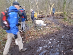 GR50 + Oud Turnhout 220114 033