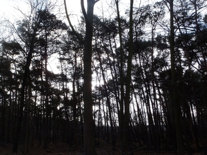 GR50 + Oud Turnhout 220114 047