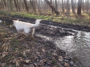 GR50 + Oud Turnhout 220114 049