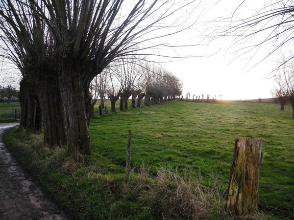 2014_01_26 Geraardsbergen 010