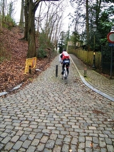 2014_01_26 Geraardsbergen 026