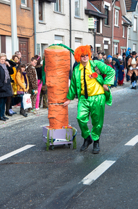 Carnaval Ninove 17feb2013-0062