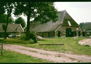 W Zomer 1984 - 34