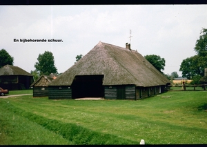 W Zomer 1984 - 35