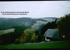 X Herfst 1984 - 4