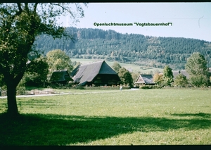 X Herfst 1984 - 22