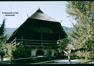 X Herfst 1984 - 23