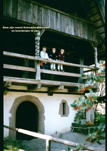 X Herfst 1984 - 24