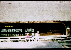 X Herfst 1984 - 25