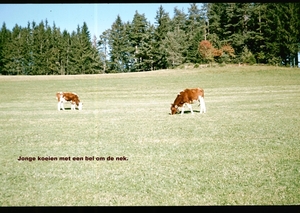 X Herfst 1984 - 29
