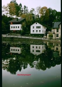 X Herfst 1984 - 31