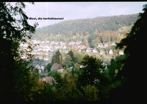 X Herfst 1984 - 35