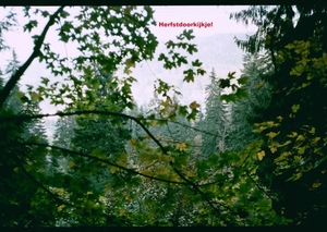 X Herfst 1984 - 36