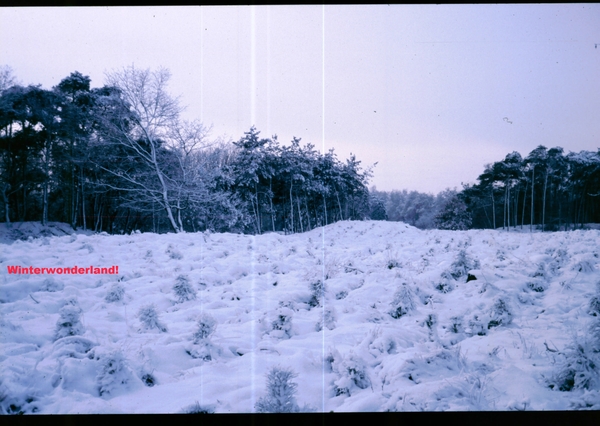 a Herfst-Winter '85 - '86 - 37