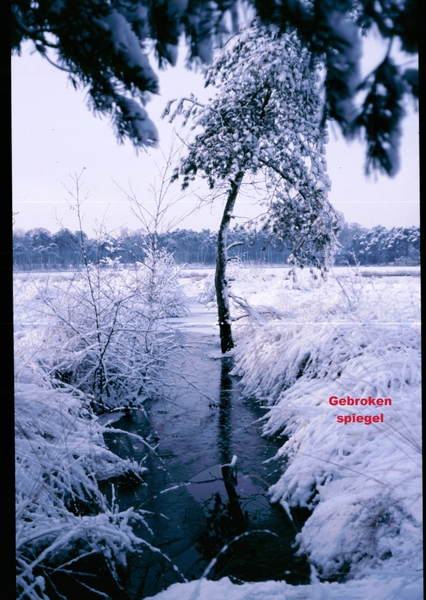 a Herfst-Winter '85 - '86 - 38