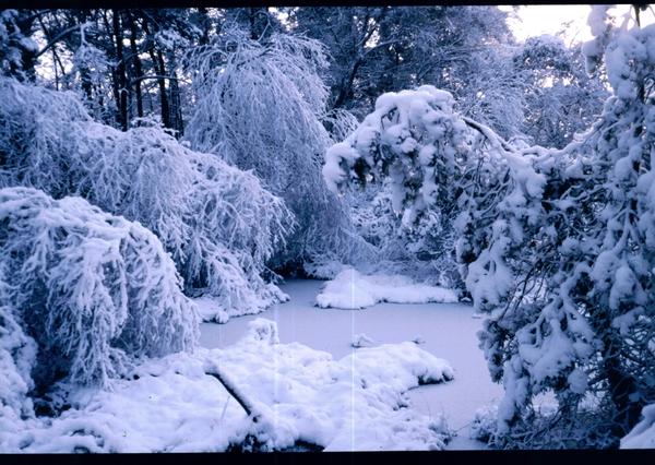 a Herfst-Winter '85 - '86 - 40