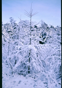 a Herfst-Winter '85 - '86 - 41