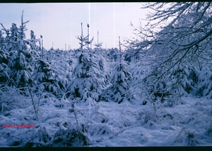 a Herfst-Winter '85 - '86 - 42
