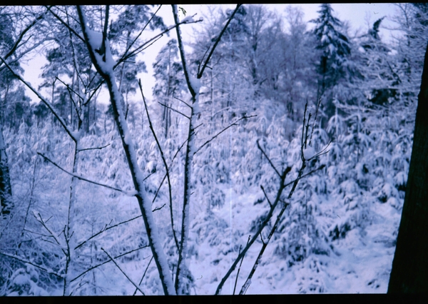 a Herfst-Winter '85 - '86 - 43