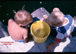 b Zomer 1986 - 32