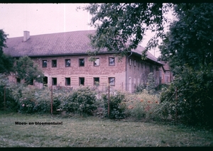Z Zomer 1985 - 8