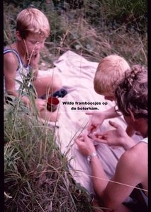 Z Zomer 1985 - 35