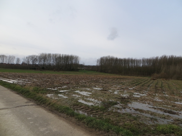 2014-02-01 Borsbeke 18