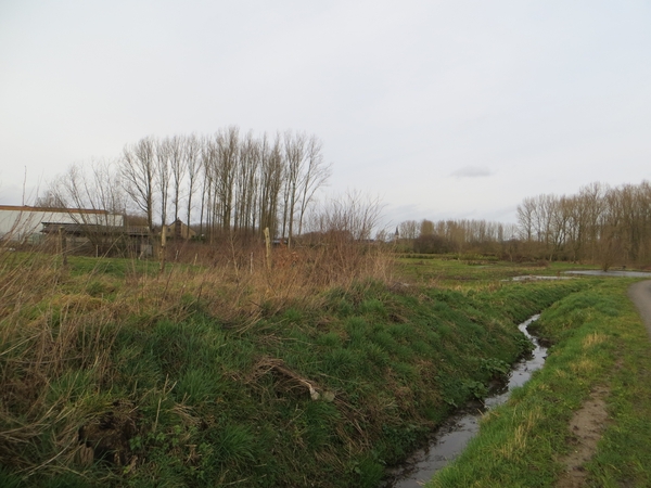 2014-02-01 Borsbeke 19