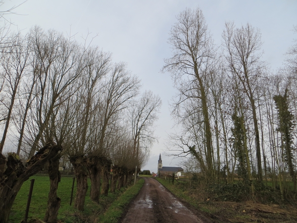 2014-02-01 Borsbeke 20
