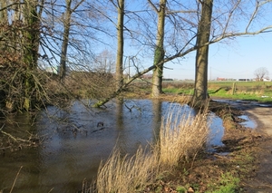 2014-02-03 Oostnieuwkerke 03