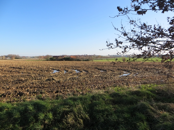 2014-02-03 Oostnieuwkerke 09