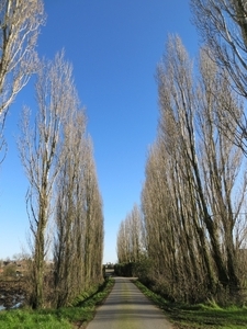 2014-02-03 Oostnieuwkerke 12