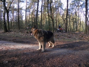 naar motorcrossers kijken