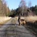 dichtbij de Hapertse heide