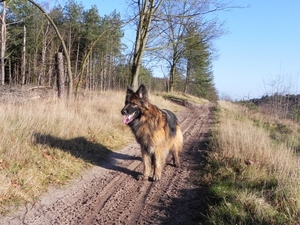 naast de autosnelweg, maar toch losloopgebied