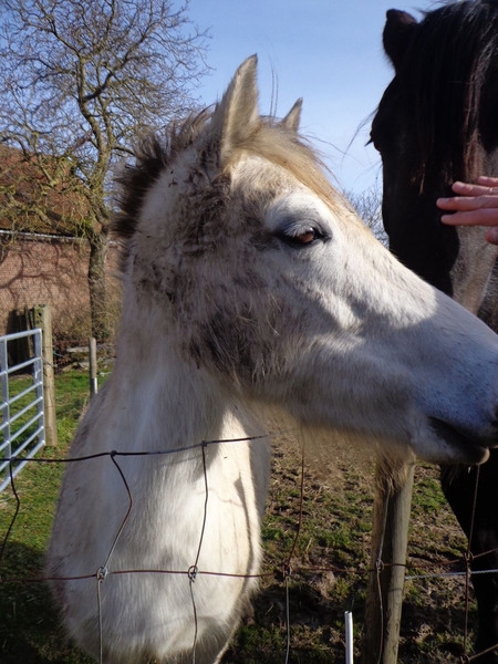 Natuurwandeling = beestjes onderweg :)