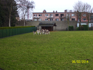 Wandeling naar Tivoli - 6 februari 2014