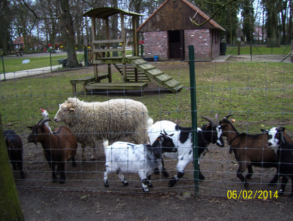 Wandeling naar Tivoli - 6 februari 2014