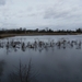 Sneukeltocht Februari 2014 007