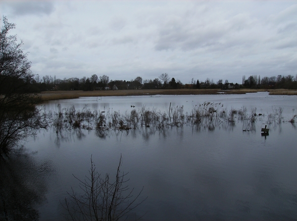 Sneukeltocht Februari 2014 007