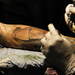 Tattoo Convention 2014-4041