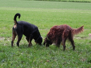 Luka en Finnigan