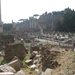 zicht op Forum Romanum met rechts de resten van de Basilica Julia