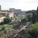 zicht op het Colosseum vanop Monte Palatino