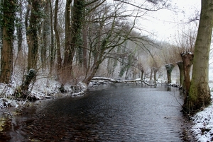 Limburg