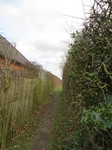 2014-02-15 Elsegem 06