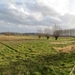 2014-02-15 Elsegem 20